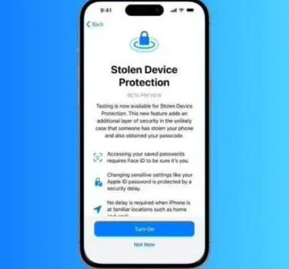 长阳苹果授权维修店分享被盗设备保护功能开启方法 