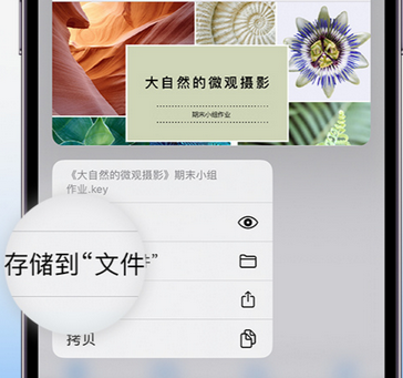 长阳apple维修中心分享iPhone文件应用中存储和找到下载文件