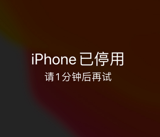 长阳苹果手机维修分享:iPhone 显示“不可用”或“已停用”怎么办？还能保留数据吗？ 