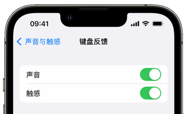 长阳苹果手机维修分享iPhone 14触感键盘使用方法 