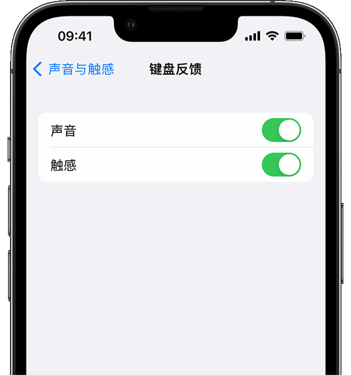 长阳苹果14维修店分享如何在 iPhone 14 机型中使用触感键盘 