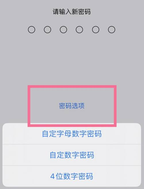 长阳苹果14维修分享iPhone 14plus设置密码的方法 