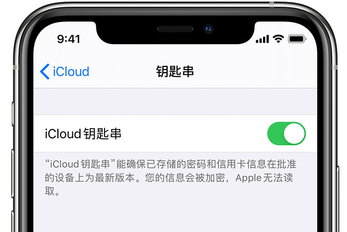 长阳苹果手机维修分享在 iPhone 上开启 iCloud 钥匙串之后会储存哪些信息 