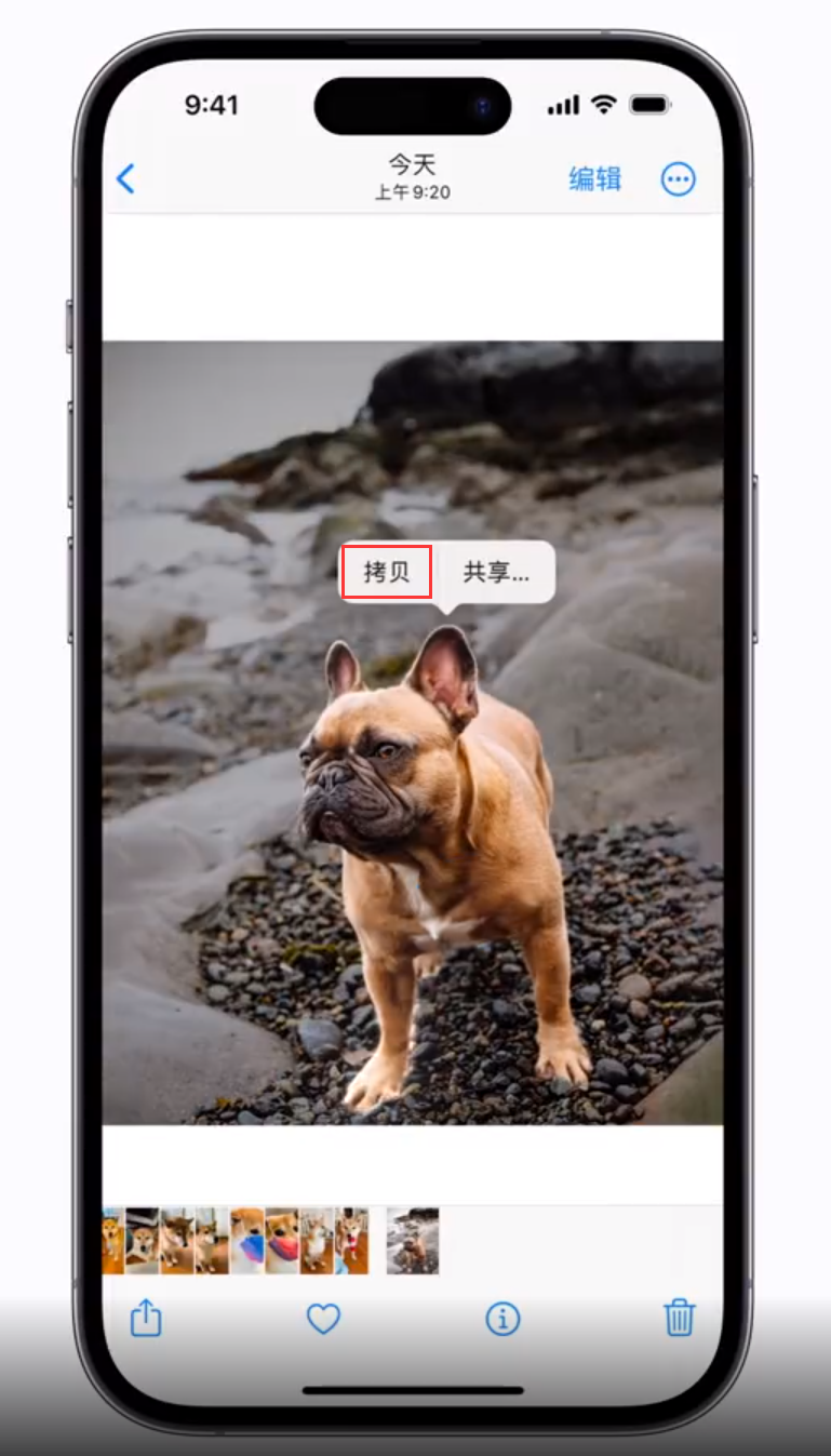 长阳苹果手机维修分享 iOS 16 自带一键抠图功能 