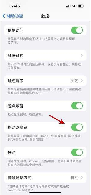 长阳苹果手机维修分享iPhone手机如何设置摇一摇删除文字 