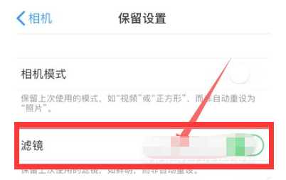 长阳苹果13维修分享iPhone13拍照有绿点是怎么回事 