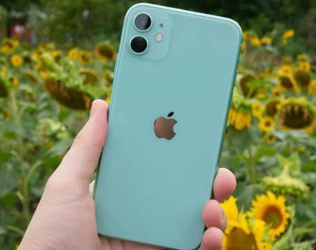 长阳苹果维修点分享iPhone 11锁屏密码认知与使用科普 